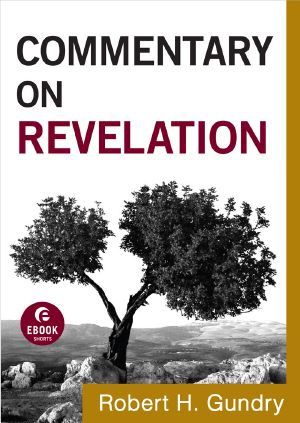 [Commentary on the New Testament 19] • Commentary on Revelation